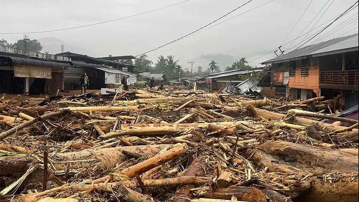 Bareskrim Sudah Mulai Penyelidikan Illegal Logging Pasca Bencana di Sumatra