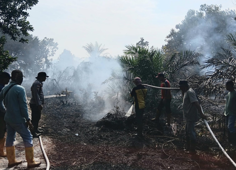 Lahan Gambut Bengkalis Kembali Terbakar