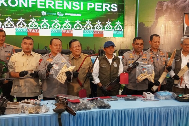 Polda Riau Ungkap Kasus Pembunuhan Gajah di Pelalawan, Riau.