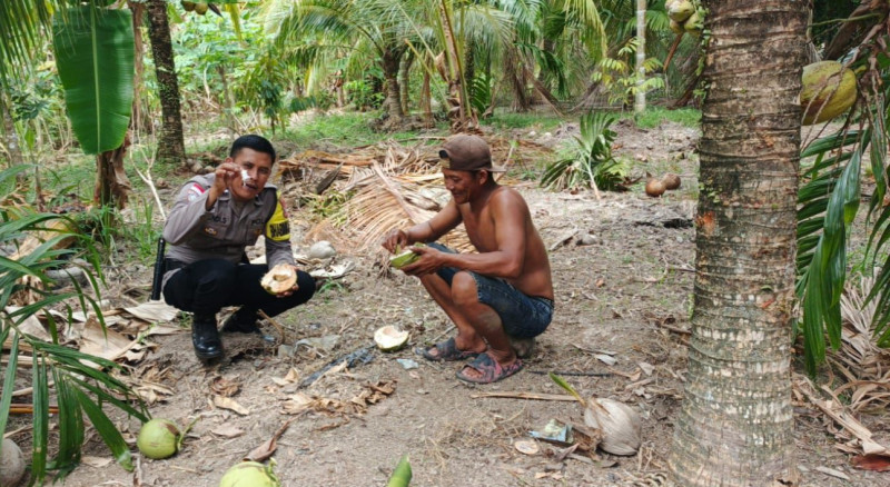 Bhabinkamtibmas Desa Bantan Air Sosialisasikan Ketahanan Pangan kepada Petani Kelapa