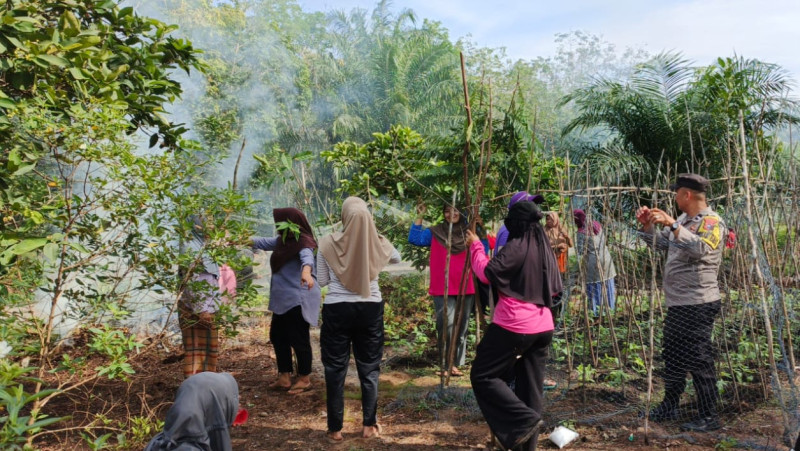 Bhabinkamtibmas Polsek Bantan Tinjau Penanaman Kacang Panjang Milik PKK Dusun Darul Dakzim